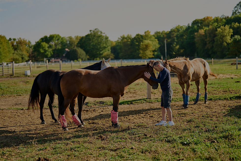 Equine Horsmanship Volunteer Fall Program