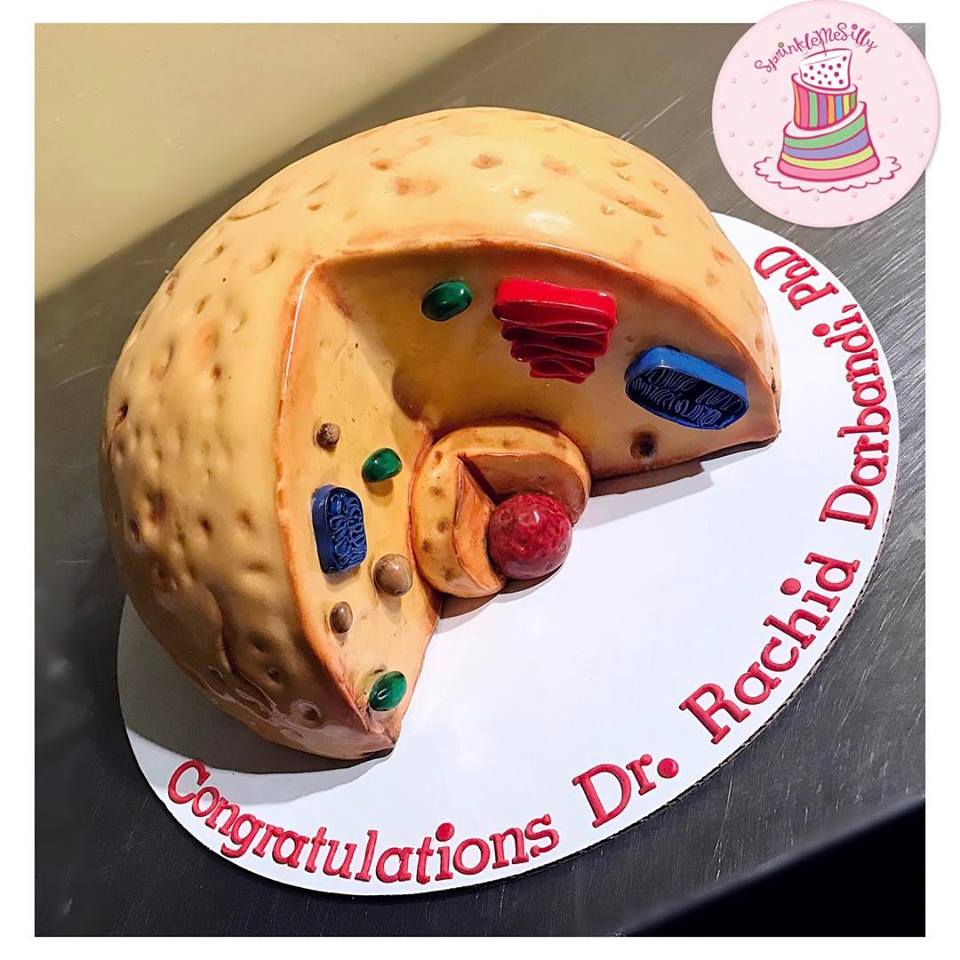 Sculpted Cake Design from the Archive - Sprinkle Me Silly original photo