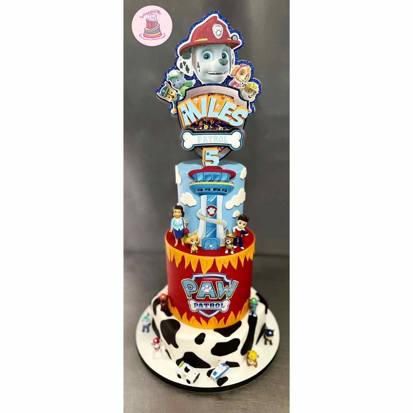 Paw Patrol Cake - Sprinkle Me Silly photo