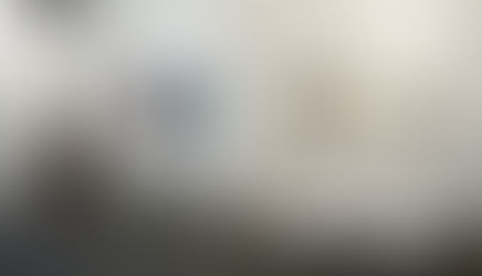 Beuys ‘vuelve’ a Cadaqués