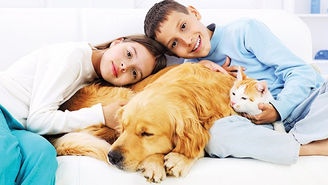 Niños que aman a los animales son más felices