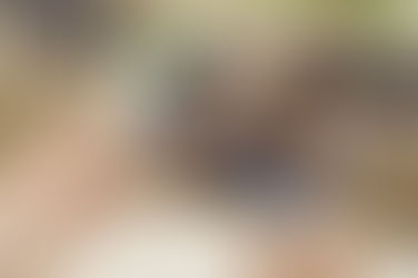 Las típicas excusas para terminar con un matrimonio