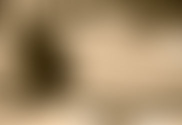 Si alguna vez viste una moneda en la tumba de alguien, este es su significado — ¡Increíble!