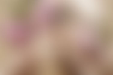 4 increíbles BENEFICIOS de escribir en tu vida