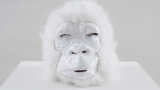 Las mejores fotografías de Instagram de Art Basel 2016