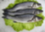Nos Poissons