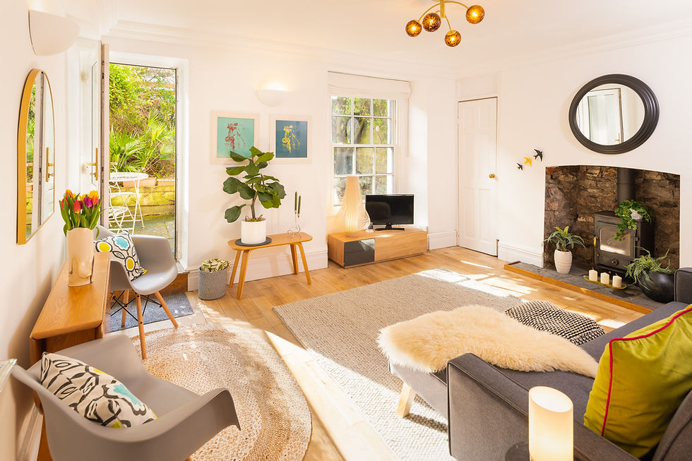Light-filled Clifton garden flat living room with rugs and decorative stoves