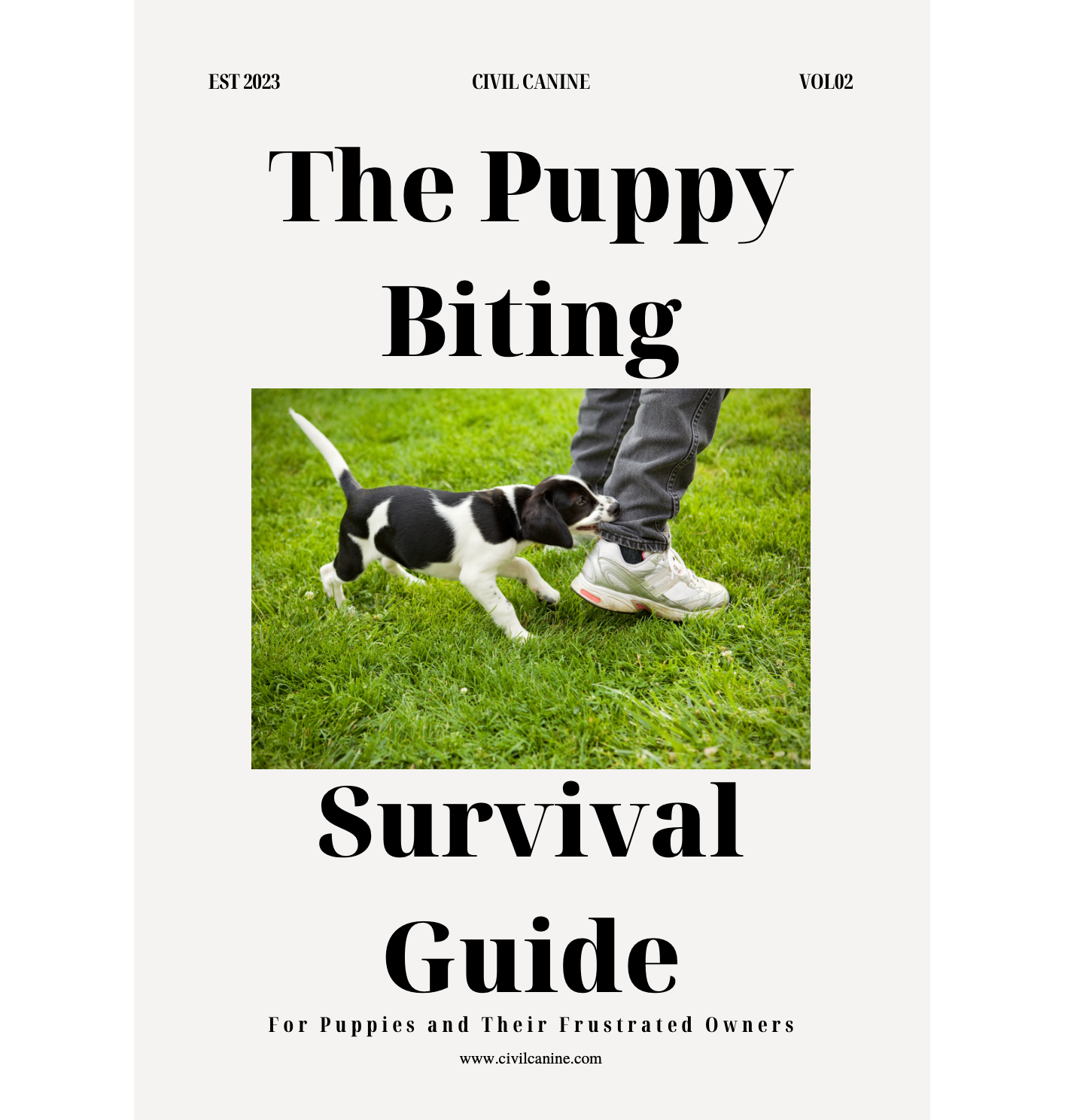 The Puppy Biting Survival Guide