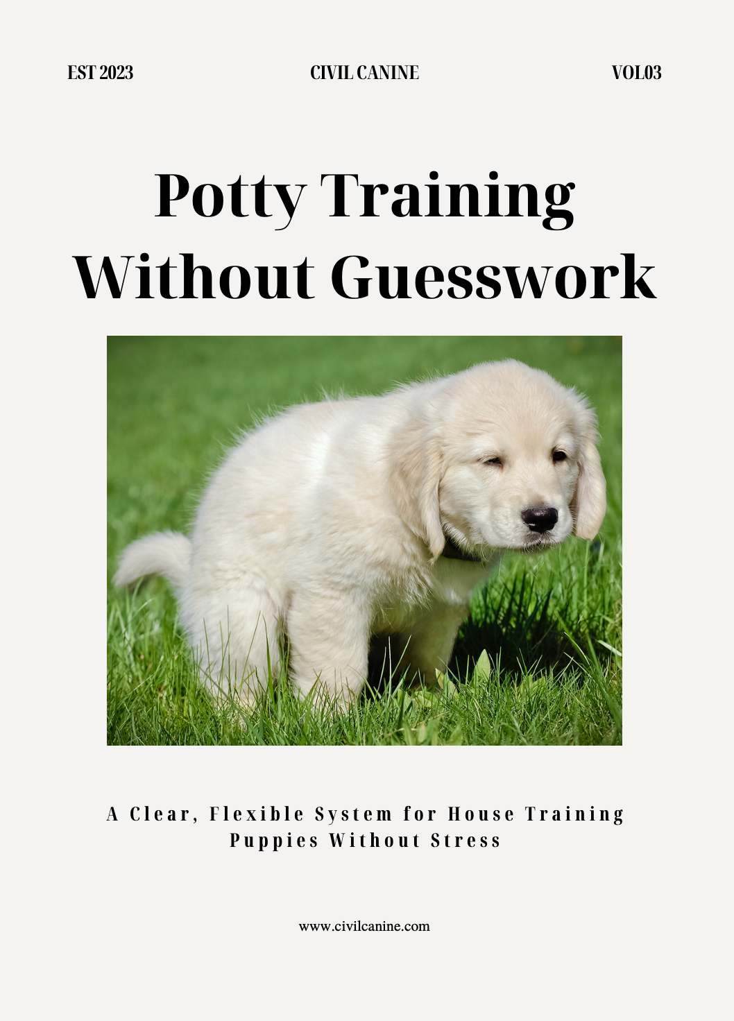 Potty Training Without Guesswork