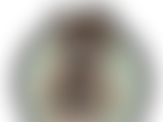 אמא, בואי ניקח תמונה (ועוד רגעים אבודים בתרגום)