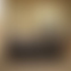 Legislative Council Finalizes 2024 Blue Book 