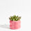 Thumbnail: Bubble pot - Sakura pink 