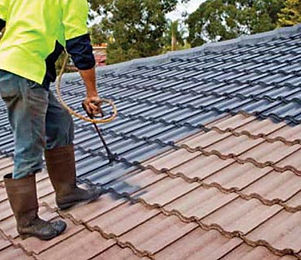 PowerWashRoof.jpg