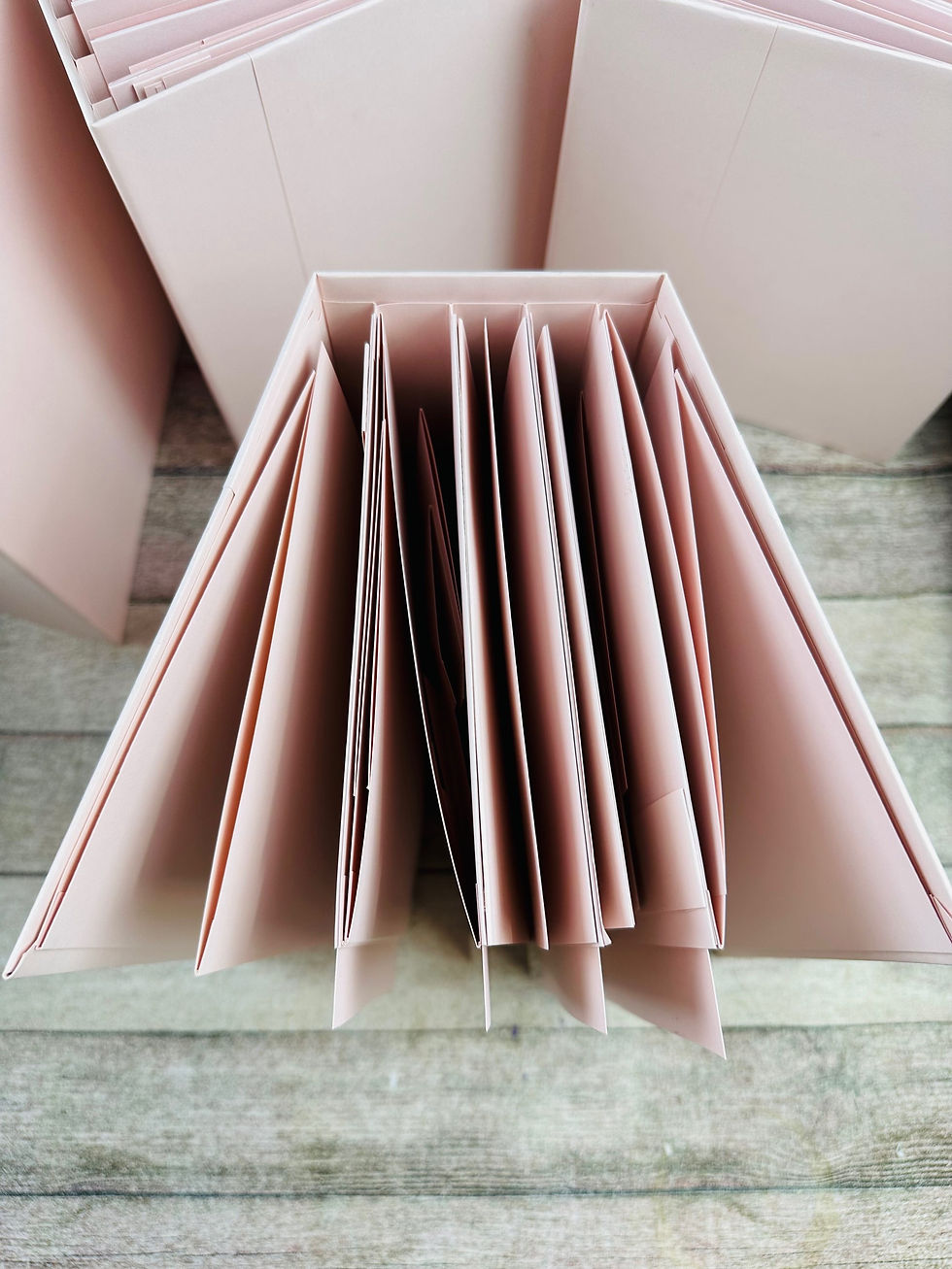 Thumbnail: 8x8 Blush Pink Blank Mini Album 