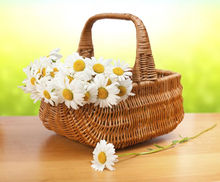 UNDERSTANDING THE REQUIREMENTS FOR NEW BEGINNING.