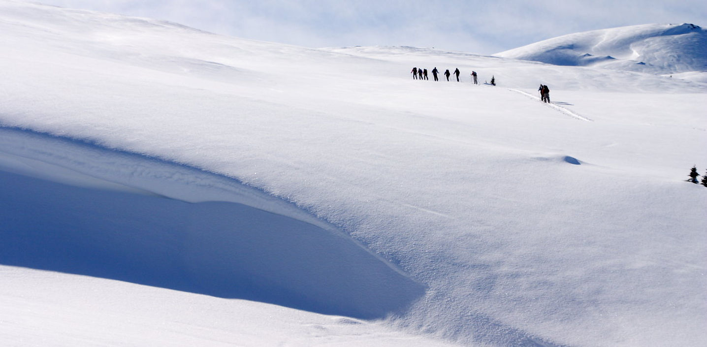 glacier, canada, skiing, british columbia, 