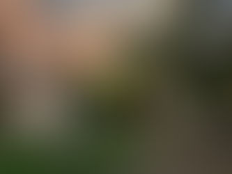 Casa Susanne: Almost Ready to Welcome Our First Photography Students!