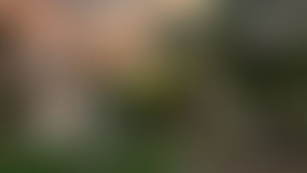 Casa Susanne: Almost Ready to Welcome Our First Photography Students!