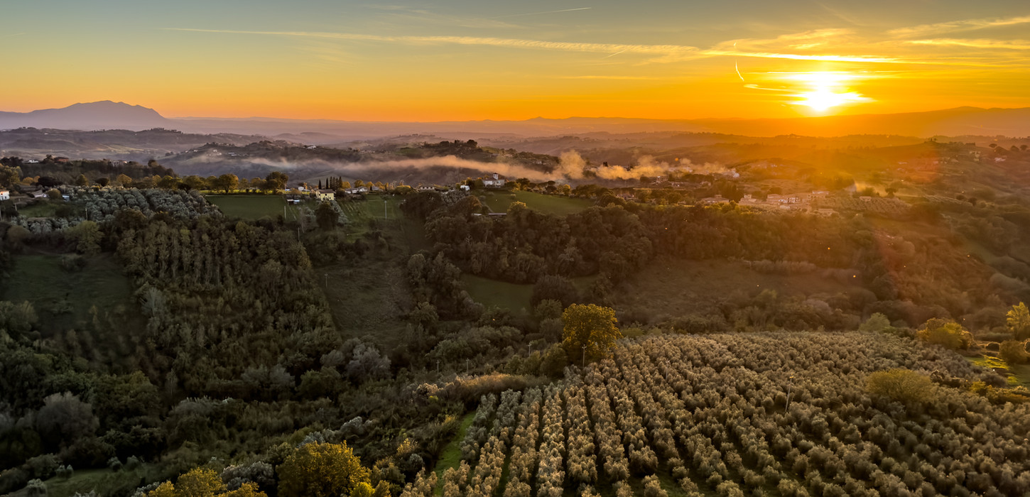 Sunset over the olive groves of Umbria