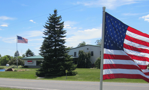 FlagDay.gif