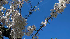 A Time for Everything