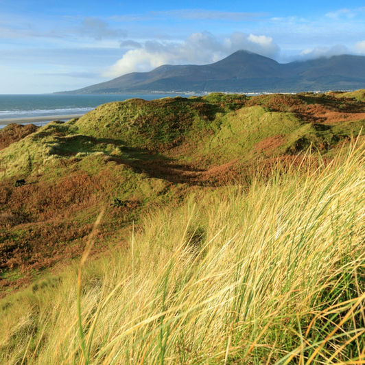 Murlough Nature Reserve is a dune heathland on the coast of County Down in Northern Ireland, near Newcastle. It is on a peninsula between Dundrum Bay and Murlough Bay and has views of Slieve Donard, the highest peak in the Mourne Mountains. 
