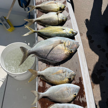 Key Largo Fishing Charter