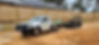 ute_edited.jpg
