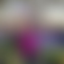 Rally Around Change: Real Solutions for Stanislaus County District 4