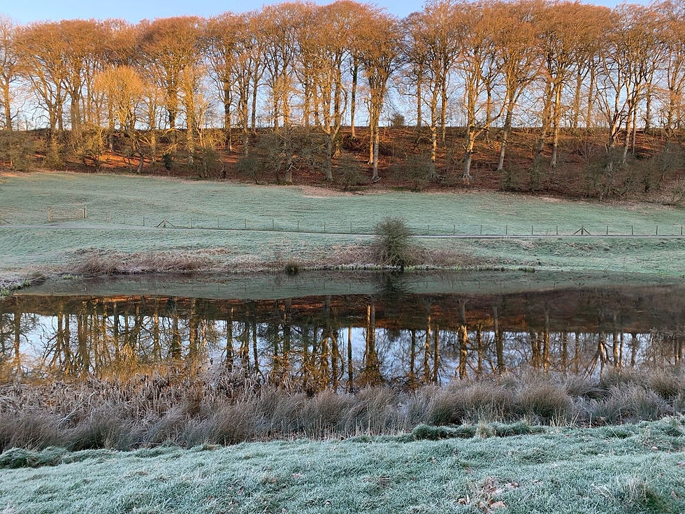 Spring in the Cotswolds - credit Clare Stickney