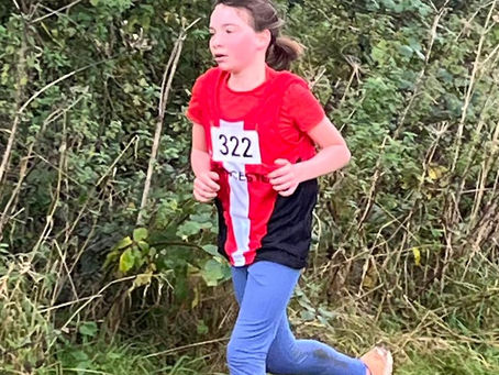 Young & old (runners), old & new (members)