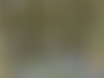 We're Famous....Eggcellent!