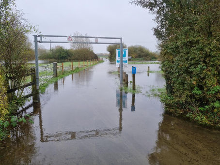 Less racing, but some important news