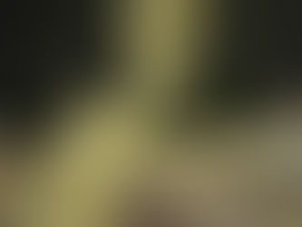 Christmas and alcohol: A toxic cocktail?