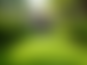 Comprehensive Landscape Maintenance in Malaysia