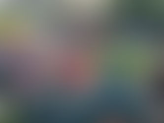 Maandbrief oktober 2024 🍂