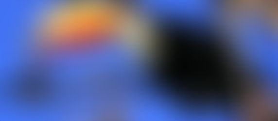 SALVEMOS A LOS TUCANES