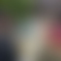 élèves devant les activités de découvertes des métiers agricoles