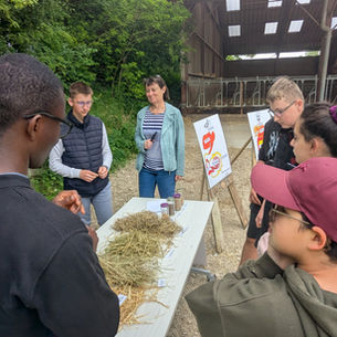 élèves devant les activités de découvertes des métiers agricoles