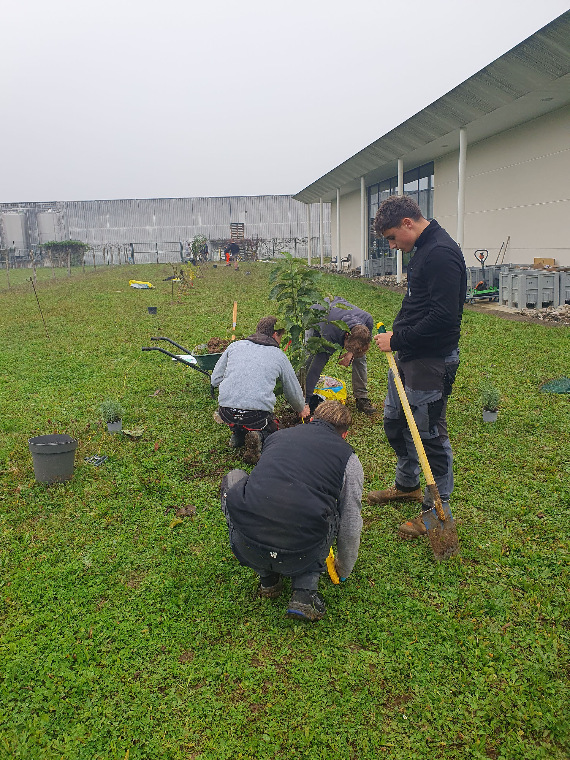 apprentis plantation verger Vedrenne