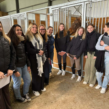 Apprenties chez l'éleveur M. Pallot