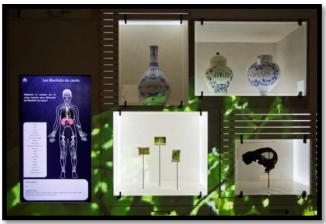 visite du cassissium partie sensorielle