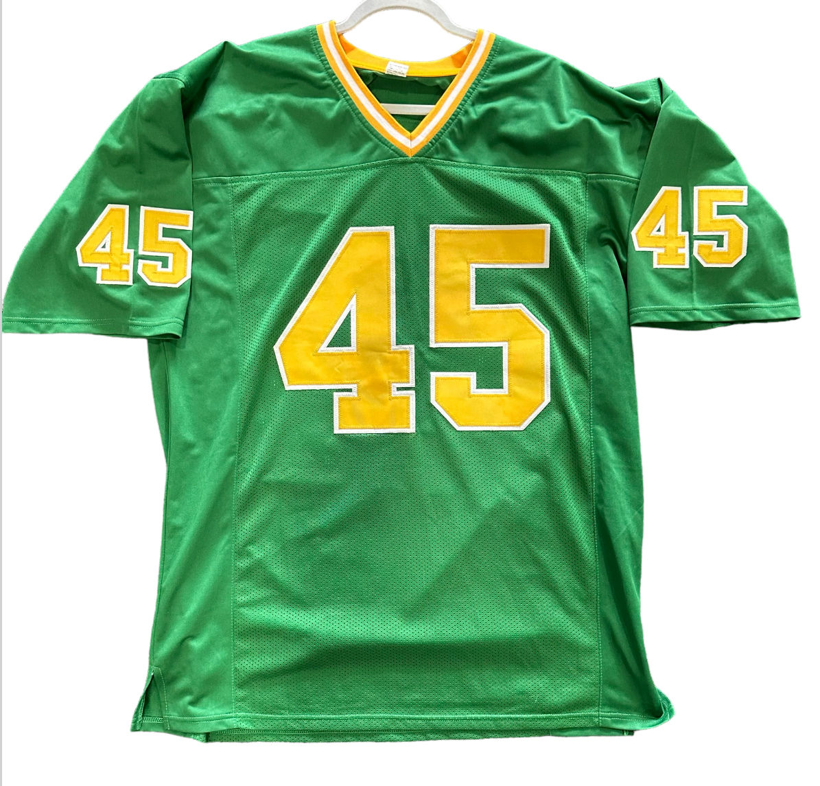 Notre Dame - Rudy Ruettigger Autographed Football Jersey