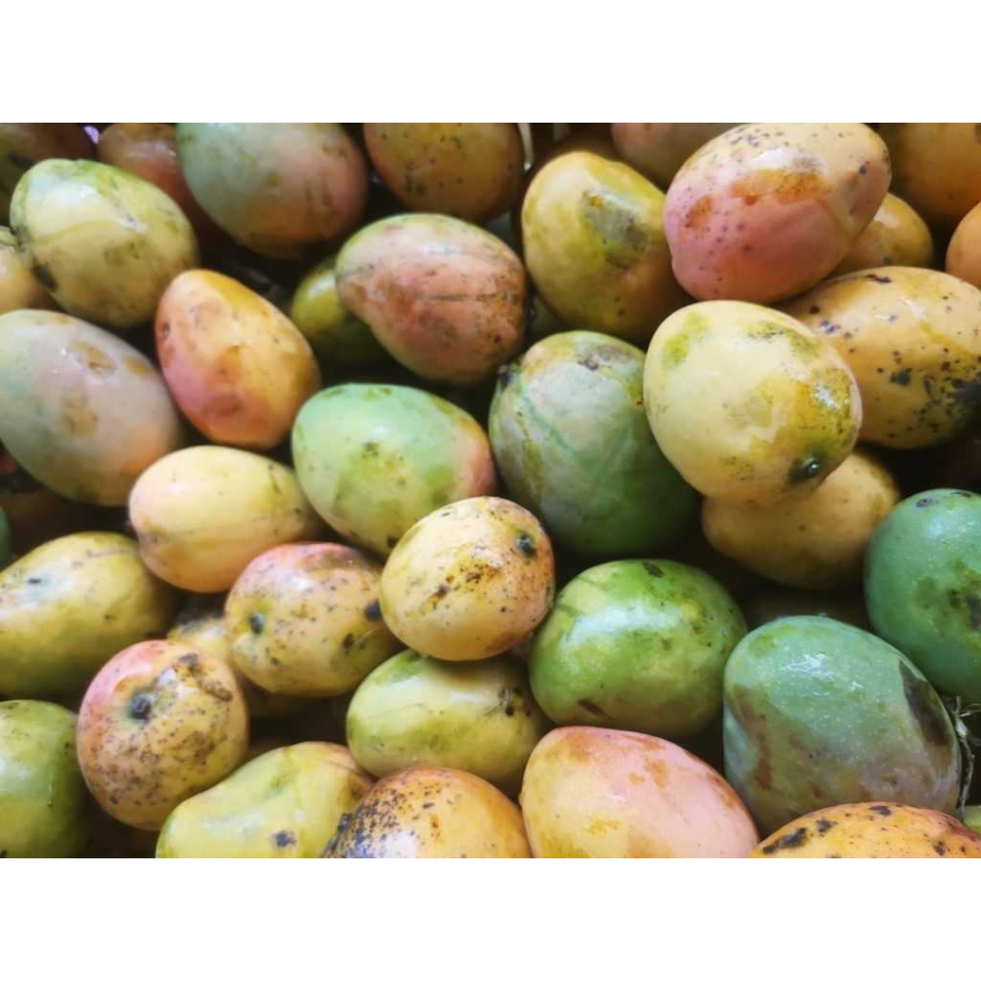 MANGO CRIOLLO 1000GRS