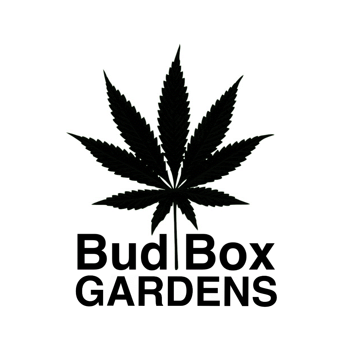 BBG Logo1.gif