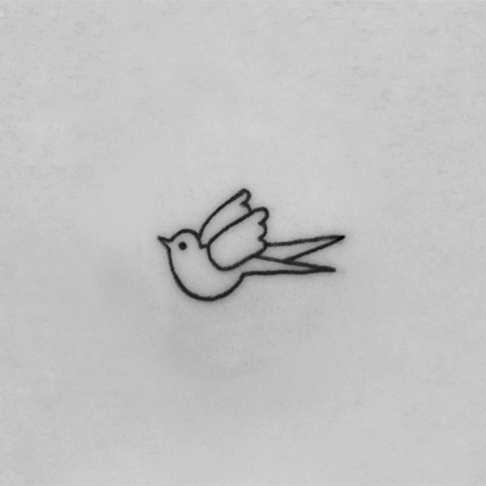 LBN-tiny-bird-Fake-skin
