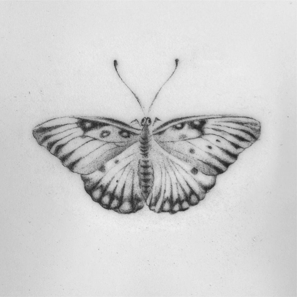 LBN-Butterfly-Fake-skin