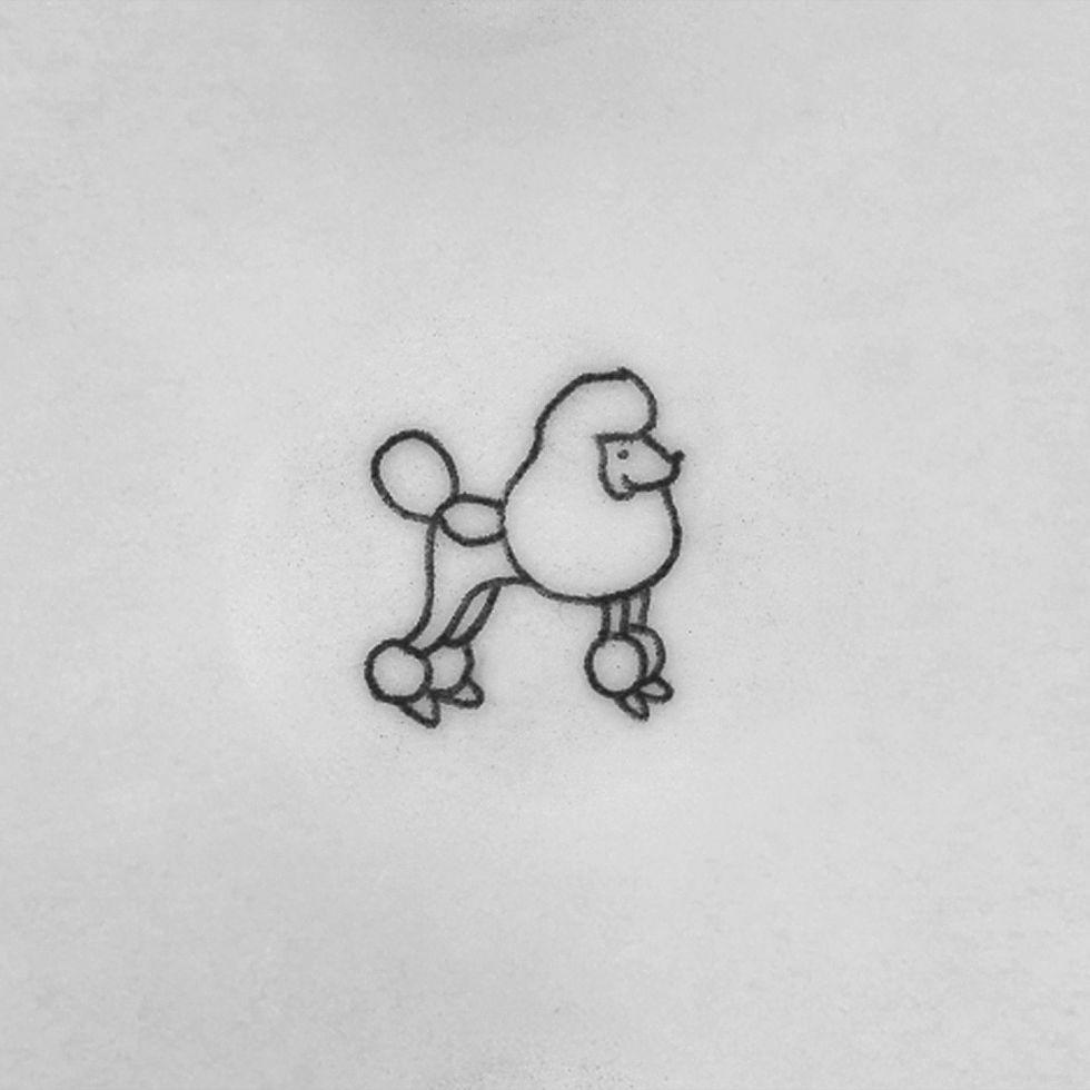 LBN-tiny-dog-and-a-book-Robin-Fake-skin