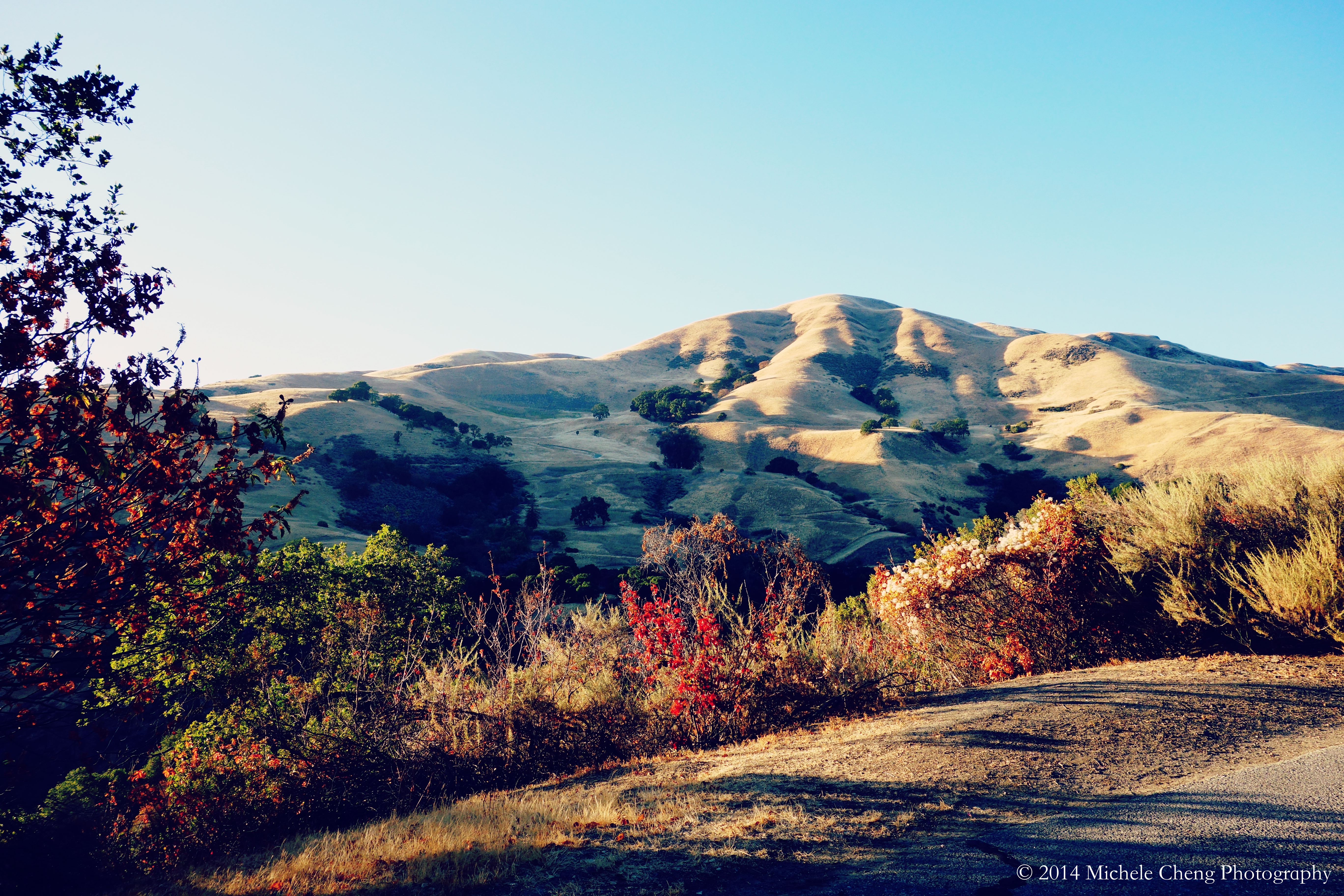 Scenery