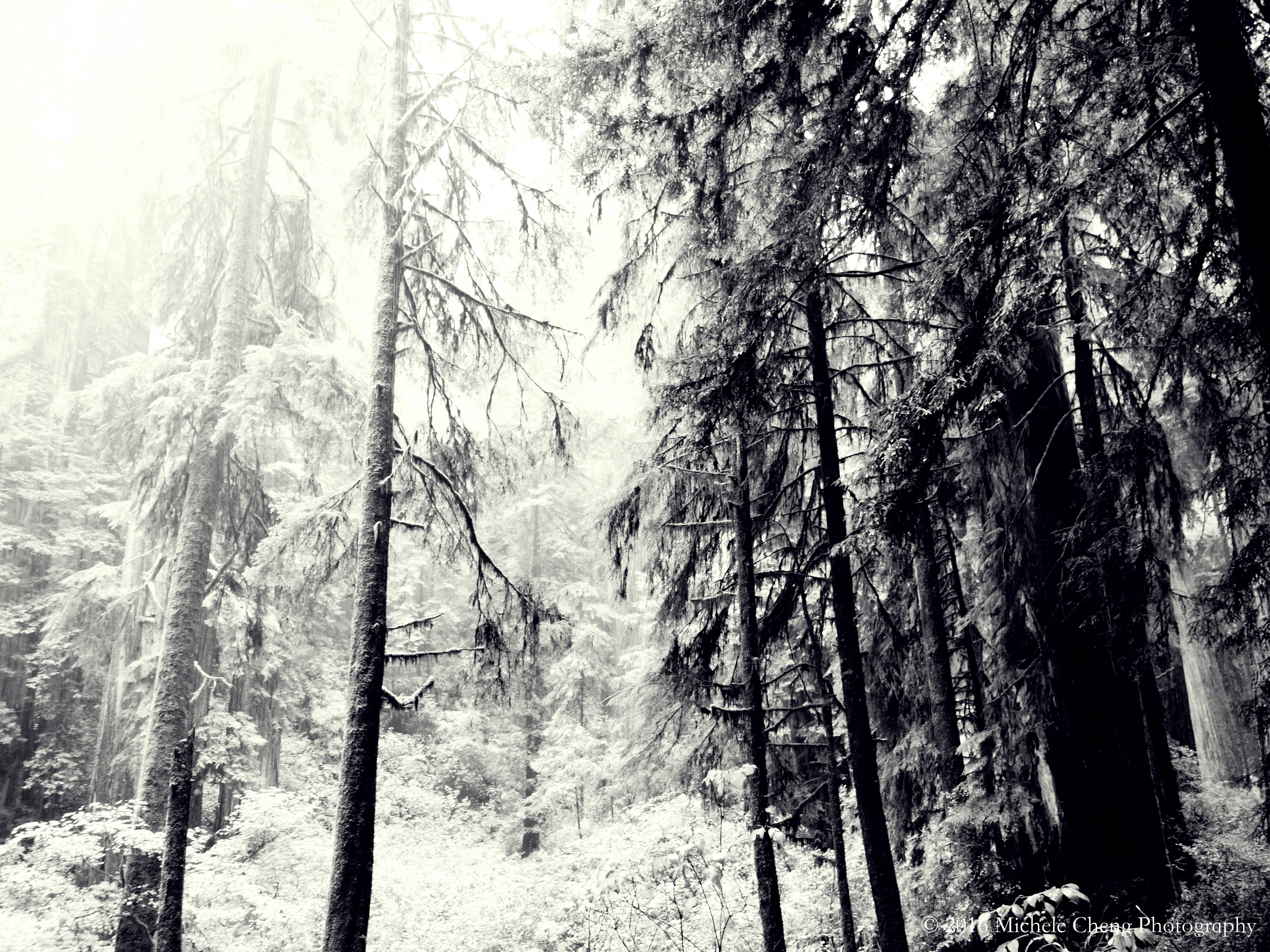 Scenery